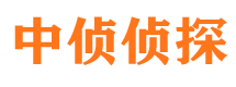 陵县市调查取证